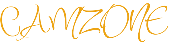 CameraZone